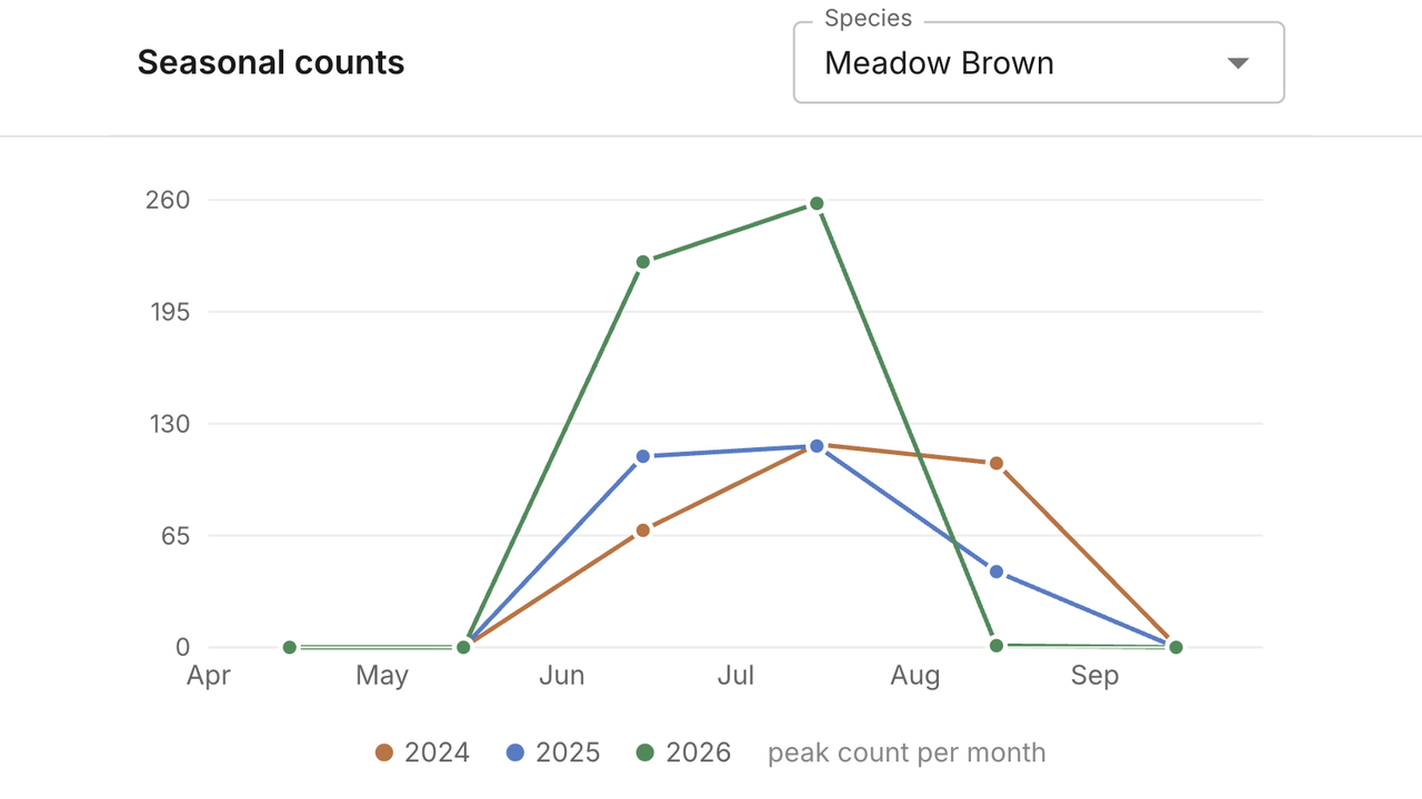 Canopy screenshot: seasonal counts of Meadow Brown butterflies from April to September, with 2024, 2025 and 2026 compared on one chart